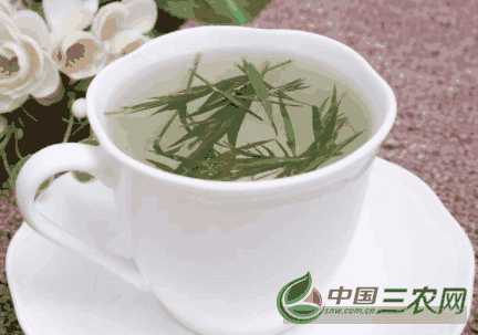 竹叶青茶好吗?(竹叶青茶对身体有什么好处)